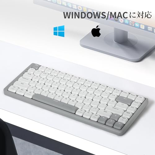 e元素 Z-84 赤軸メカニカルキーボード の商品画像 8