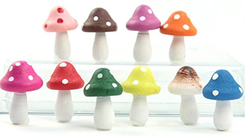 Meyer Imports Mini Wooden Mushroom Decoration (6 Piece) - Miniature Mushrooms For Fairy Garden Art/Crafts/Dollhouse/Figurines Decor - Natural #TOP6