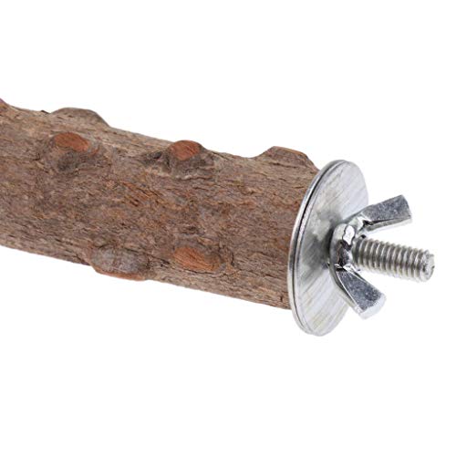 Image of Hypeety Natural Wood Perch Stand Toy for Budgie, Parakeet, Cockatiel, Conure, Lovebird (7.86 inch)