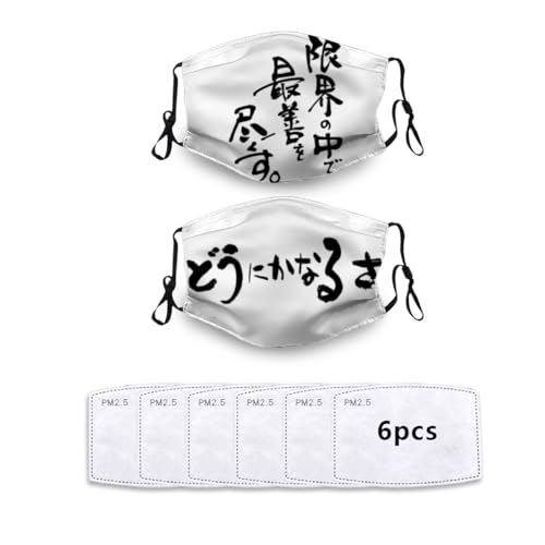 [RFSHOP] �}�X�N ���� ���� �ʔ��� �z�}�X�N 2���Z�b�g �t�F�C�X�}�X�N ���̃}�X�N �J��Ԃ� �􂦂� �܂��� ����Ȃ� �ċz���₷�� ���t �l�^ �W���[�N ���� ��k