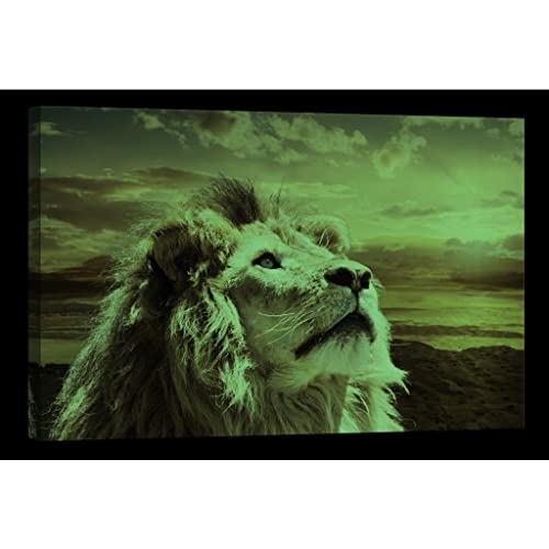 Tableau canvas animaux phosphorescent DCA023-2 de 80x120 cm - 2