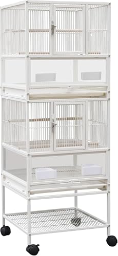  gJS  P[W ^CRp bS ^ bX^ht LX^[t RSECR uo[h RUNCRΉ (3w)