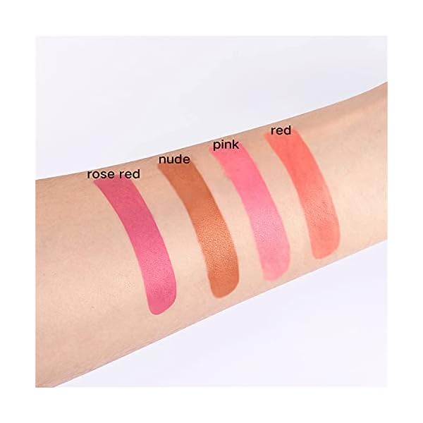 Rednow 20pcs Tattoo Lipstick Cotton Swab, Durable Waterproof Non-Stick Tattoo Lipstick, Portable Lip Tint (Four colors mixed)
