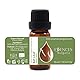 Essences Bulgaria BIO Echter Lorbeer Ätherisches Öl 10ml | Laurus nobilis | 100% Naturrein | Unverdünnt | BIO-zertifiziert | Spitzenqualität aus Familienbetrieb | Ohne Gentechnik | Vegan