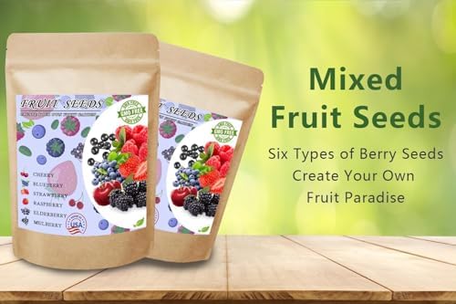 1100pcs Mixed Fruit Seeds Berry Seeds for Planting Strawberry Raspberry Mulberry Blueberry Elderberry Cherry - Individually Packaged