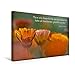 Produktbild CALVENDO Premium Textil-Leinwand 45 x 30 cm Quer-Format Ringelblumen - Zitat von Voltaire, Leinwanddruck von Fotokunst Ulrike Adam