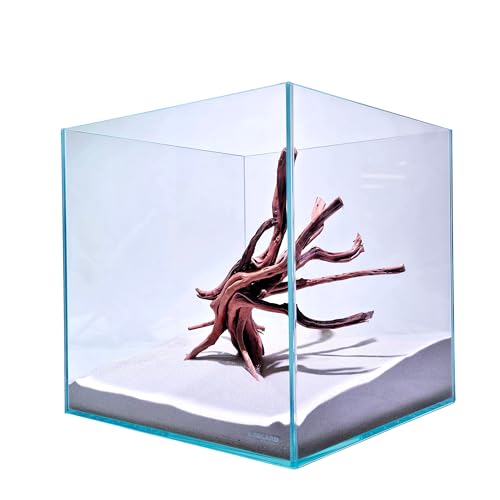 Lifegard 5 Gallon Cube Aquarium