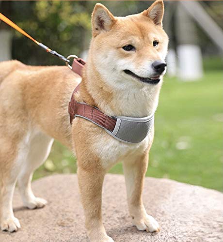 Coolsnail Dog Harness No Pull,Dog Walking Harness With Soft Chest Padded,Escape Proof/Quick Fit Reflective Pet Vest Harness,Easy Control For Outdoor Walking And Training Dogs Brown #TOP5