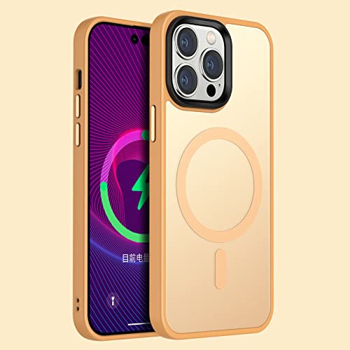 Coque magnétique pour iPhone 14 Pro Max et 13/12/11 couleur Or Élite