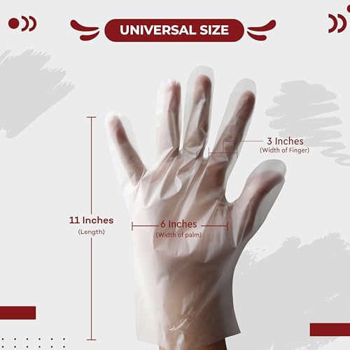 Image of Robustt Disposable Hand Gloves - Transparent (500 Pcs) | Reusable, Anti Bacterial Food Safe Gloves For Hair-dye, Clinics, Hotels, Salons, Kitchen (Universal Fit)