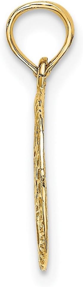 JewelryWeb 13mm 14k Gold Religious Judaica Star of David In Circle Engraved Jewish Pendant Necklace for Women - Image 3