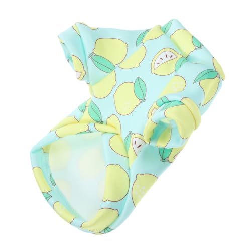 LIOOBO 2 Peças Roupas Para Animais De Estimação Roupas Para Cães Pequenos Roupas Casaco Confortável