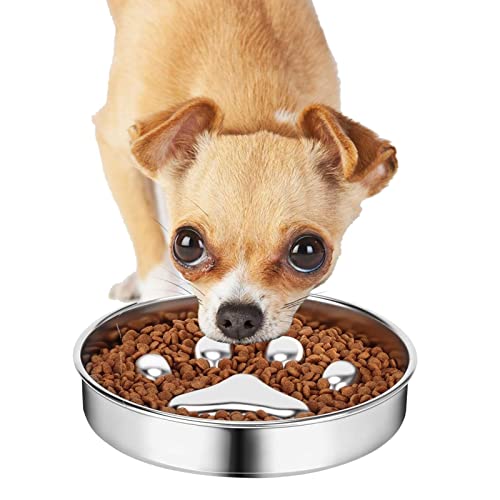 GWHW Mangeoire Lente pour Chien | Bol de Nourriture pour Chat en Acier Inoxydable Passe au Lave-Vaisselle,Pet Supplies Plat à Chiots pour Petits Chiens de Taille Moyenne pour Animaux de Ferme Cover