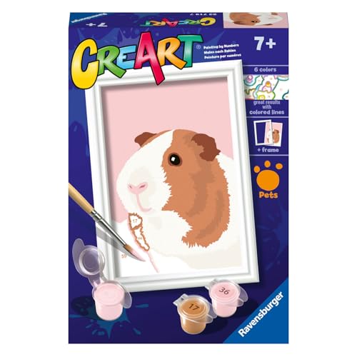 Peinture par numéro cobaye de CreArt canevas cochon d'inde pour débutant