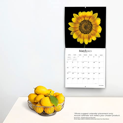 In The Garden | 2023 12 X 24 Inch Monthly Square Wall Calendar | Brush Dance | Flowers Plants Floral Photography #TOP3