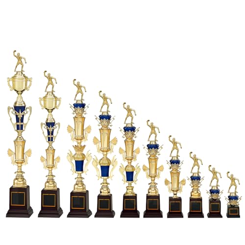 [[U[] GOLD SHACHI \gtB[ T1029 FTCY(32cm d180g)(B-1) y(v)싅(j)z