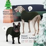 IECOii Großer Hunde Pullover Für Männliche Weibliche Hund,Armlos Neutraler Dicker Warmer XL HundePullover Für Weihnachten Thanksgiving Halloween,Beagle Corgi Große Hunde Pullover,Grün,XL