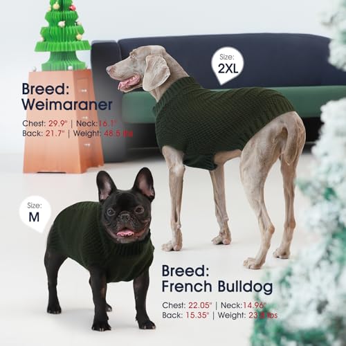 IECOii Großer Hunde Pullover Für Männliche Weibliche Hund,Armlos Neutraler Dicker Warmer XL HundePullover Für Weihnachten Thanksgiving Halloween,Beagle Corgi Große Hunde Pullover,Grün,XL