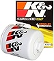 K&N Premium Oil Filter: Protects your Engine: Compatible with Select CHEVROLET/GMC/BUICK/PONTIAC Vehicle Models (See Product Description for Full List of Compatible Vehicles), HP-1001