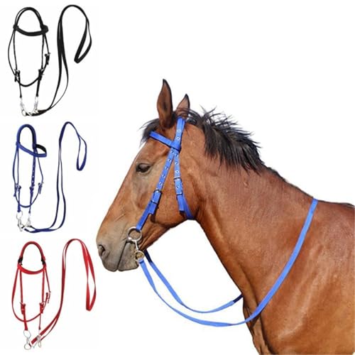 Licol pour chevaux confortable au paddock et à l'entraînement