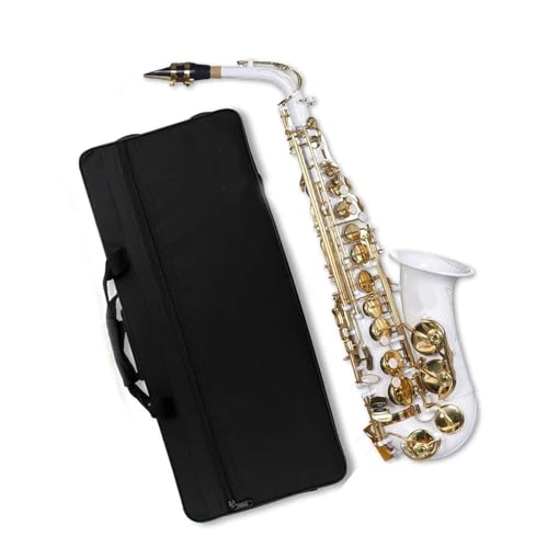 TbNX AgTbNX EL[ SҌRv[gZbg P[XAN[jONXA܁AXgbvt