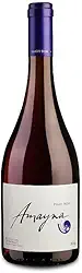 Vinho Amayna Pinot Noir 2019 (Garcés Silva Family Vineyards - Amayna, Boya) 750ml