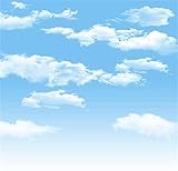 AOFOTO 10x10ft Blue Sky Backdrops White Clouds Photography Background Photo Studio Props Baby Infant