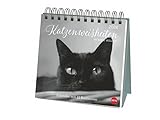  Wegler Katzen Weisheiten Premium-Postkartenkalender 2024