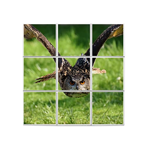 Carreaux céramique chouette en vol avec impression photo haute définition