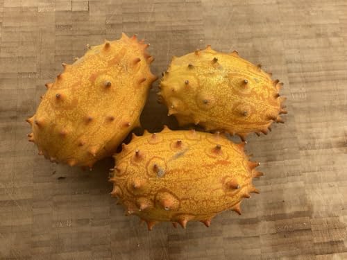 Horned Melon African Horned Cucumber Kiwano 15+ viable Seeds