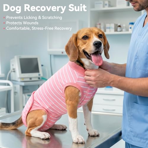 Image of cyeollo Dog Surgery Recovery Suit, Surgical Suit for Female Male Dogs, Soft Dog Onesie, Spay Neuter Body Suits, E-Collar & Cone Alternative, Anti-Licking Wound, Puppy Clothes for Small Dogs, Stripes M