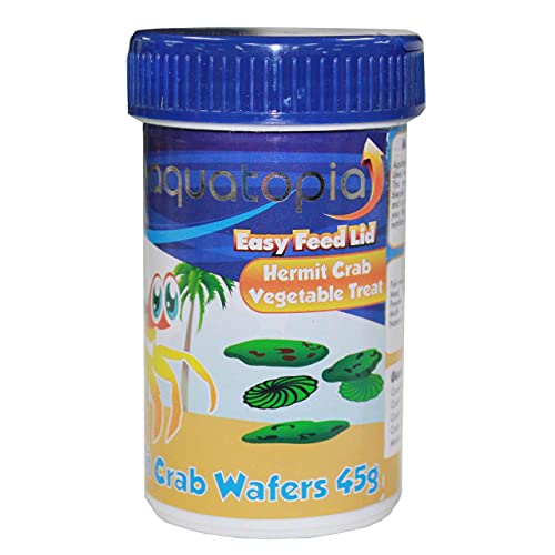 hermit crab food