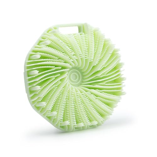 oXuV:oX\tgoXuV}bT[WĂ