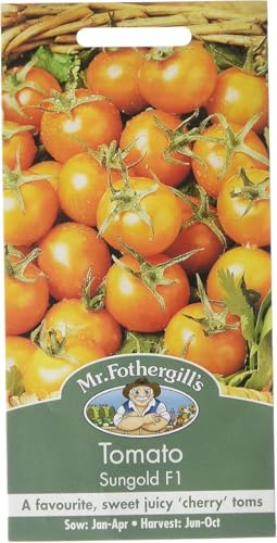 Mr Fothergill's 14700 Vegetable Seeds, Tomato Sungold F1, Yellow