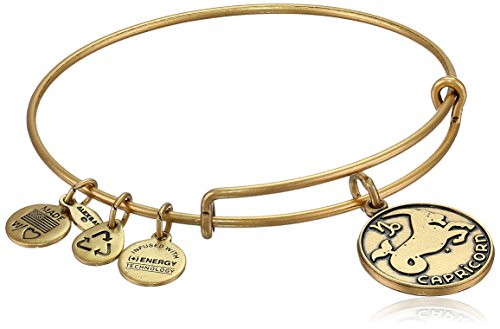 Alex and Ani Capricorn II Expandable Rafaelian Gold-Tone Wire Bangle Bracelet, 7.25