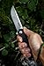 Firebird GANZO FH11 Pocket Folding Knife D2 Steel Blade G10 Handle with Clip Hunting Fishing Camping Outdoor EDC Knife (Black)