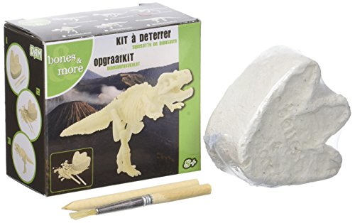 Dam SPRL Juego Educativo Esqueleto de Dinosaurio – Devenez paléontologue – grattez, fouillez, creusez, découvrez.
