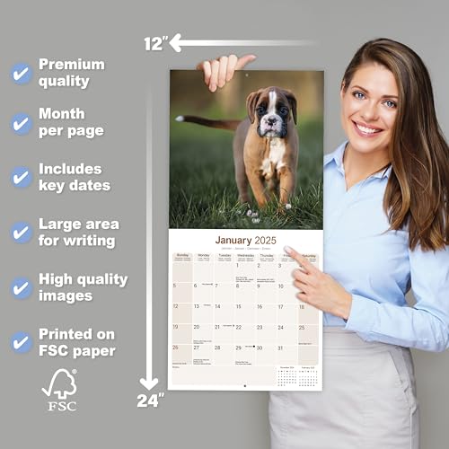 Boxer 2025 - 16-Monatskalender: Original Avonside-Kalender [Mehrsprachig] [Kalender] (Wall-Kalender)