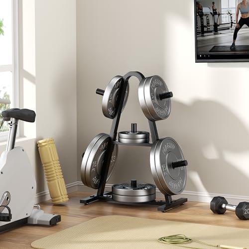 Olympic Weight Plate Rack 400LBs, Heavy Duty Weight Tree Rack for 2-Inch Plates, Barbell & Bumper Plate Storage, Free Weight Rack & Gym Plate Holder for Home Gym - Thumbnail 6