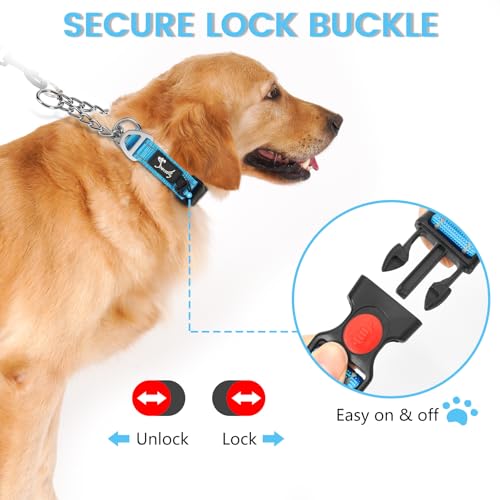 PETTOM Hundehalsband – Verstellbares, Reflektierendes Halsband mit Sicherheitsverschluss für Training, Atmungsaktives Nylon für Mittelgroße bis Große Hunde (Blau, S 37.5-43cm)