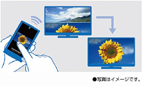 シャープ 50V型 液晶 テレビ AQUOS LC-50U20 4K 41b+MzYkUdL.jpg_BO30,255,255,