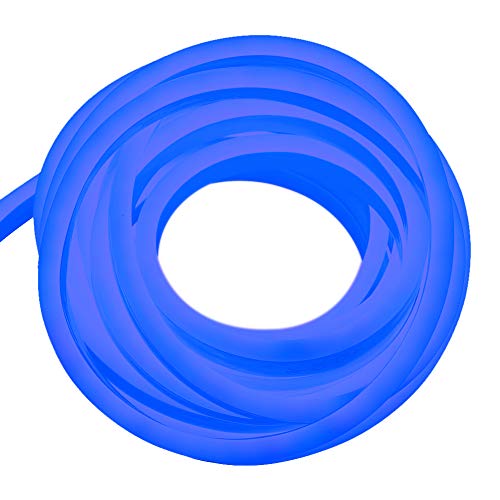 XUNATA 328ft LED Rope Neon Light, 110V Waterproof Flexible US Plug 12000 Units SMD 2835 LED Strip Lights for Home Indoor Outdoor Decoration (Blue)