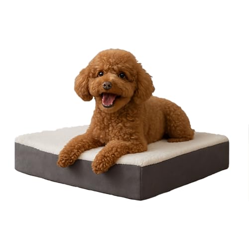 PETMAKER Orthopedic Crate Mat Small