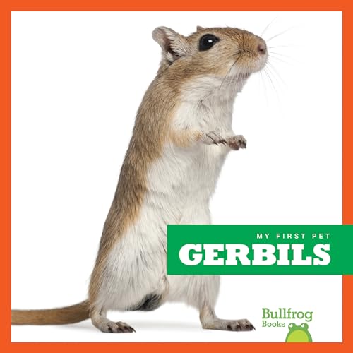 Gerbils (My First Pet) view 2