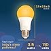 Amber Light Bulbs for Sleep I 1800K Warm Light Bulbs for Bedside Lamp I 3.5W E26 Led Bulb (60W Equiv) Orange Led Lights for Bedroom Soft Warm Lighting I Dim Night Light for Kids Room Warm Light Lamp