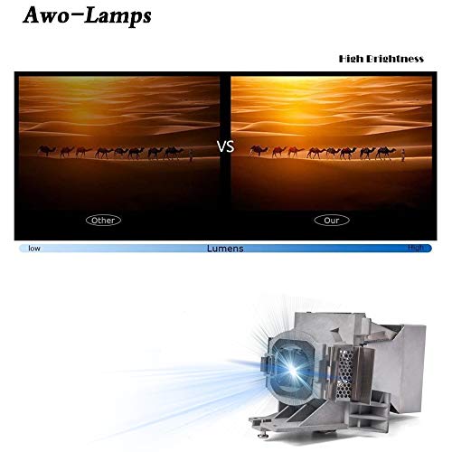 AWO Original Projector Lamp Bulb 5J.JEE05.001 with Housing for BenQ HT2050,HT2150ST,HT3050,W1110,W1120,W1210ST,W2000,W2000+ Projector