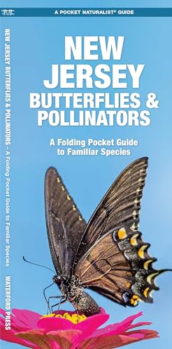 New Jersey Butterflies & Pollinators: A Folding Pocket Guide to Familiar Species (Nature Observation North America)