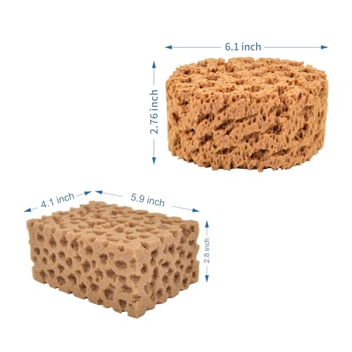 Hanroy Large Sea Sponges for Artists Unbleached 2pc Value Pack Art Texturing Decorators Sponging Great for Home Wall Painting Decorating (HMTZ-2)
