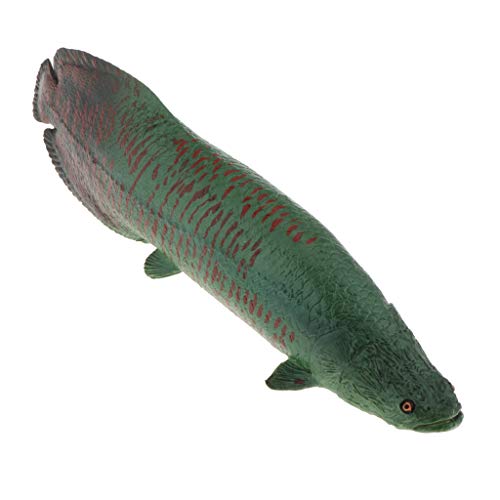 ピラルク ホビーの通販 価格比較 価格 Com