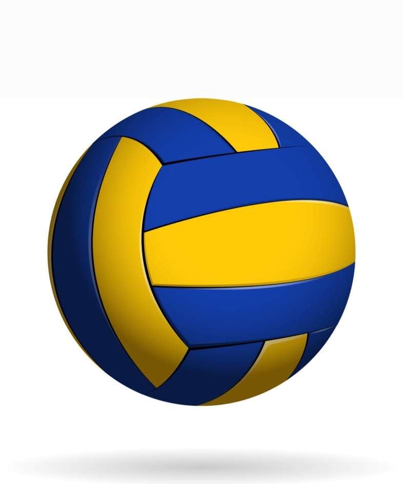 Volleyball Ball, Blue and Yellow, Indoor Outdoor Sport, Standard Size-picture-13